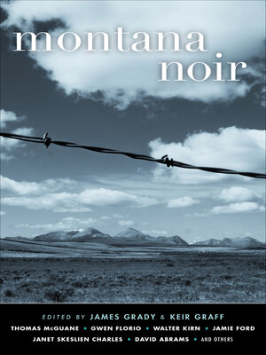 cover image of Montana Noir